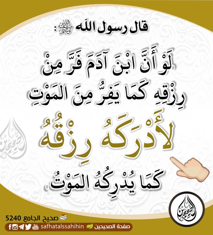 Provision looks for man